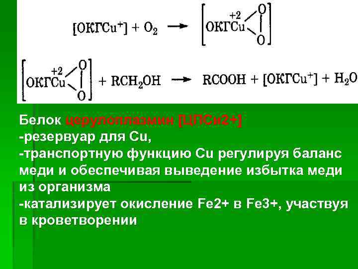 Баланс fe s fe. Окисление белков. Окисление Fe. ЭДТА+ fe3+. Транспортные белки функции.