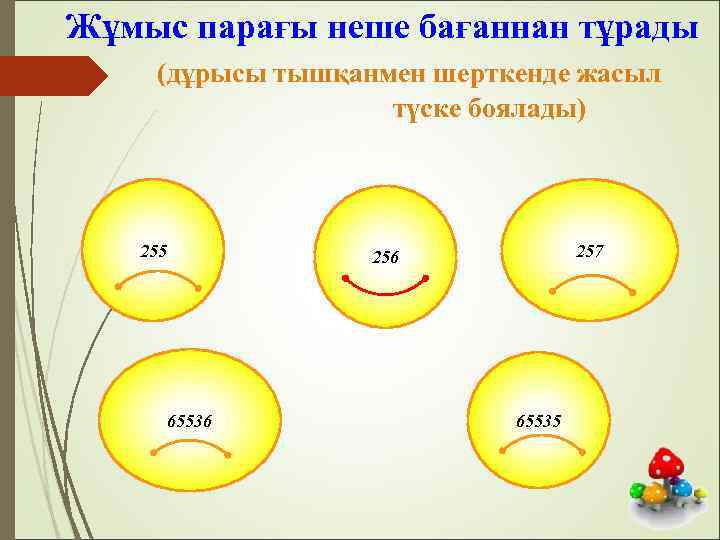  Жұмыс парағы неше бағаннан тұрады (дұрысы тышқанмен шерткенде жасыл түске боялады) 255 257