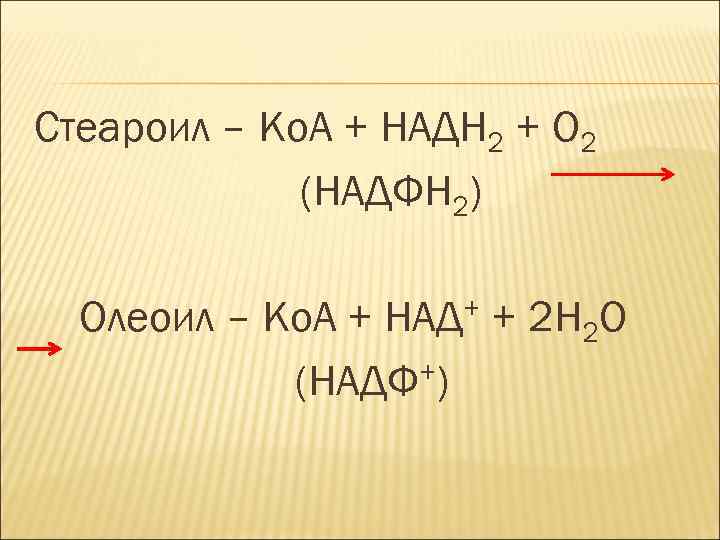 Стеароил – Ко. А + НАДН 2 + О 2 (НАДФН 2) Олеоил –