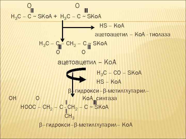 O O Н 3 С – С ~ SKо. A + Н 3 С