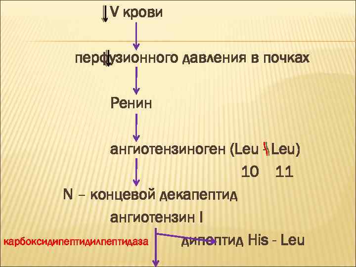 V крови перфузионного давления в почках Ренин ангиотензиноген (Leu - Leu) 10 11 N