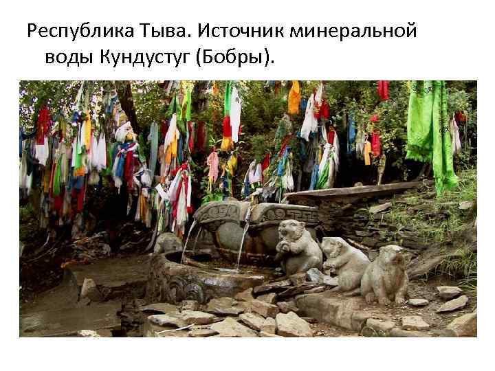 Республика Тыва. Источник минеральной воды Кундустуг (Бобры). 