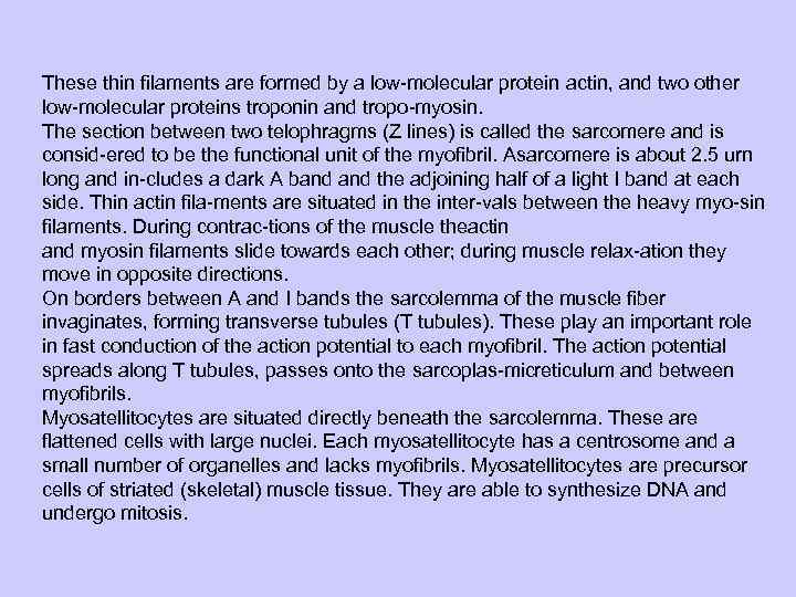 These thin filaments are formed by a low molecular protein actin, and two other