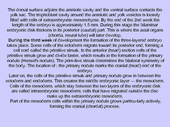The dorsal surface adjoins the amniotic cavity and the ventral surface contacts the yolk
