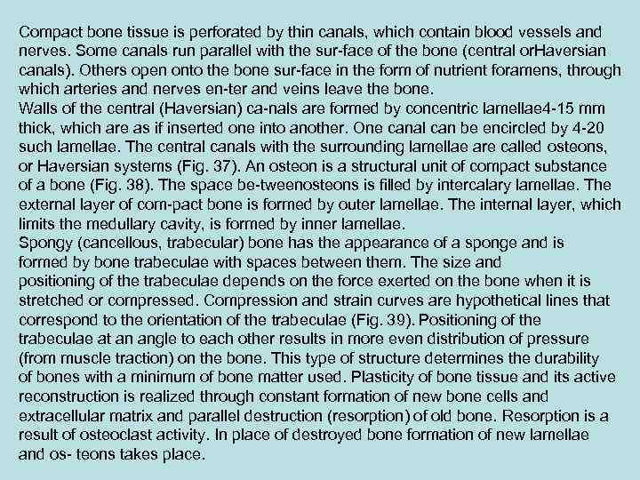 Compact bone tissue is perforated by thin canals, which contain blood vessels and nerves.