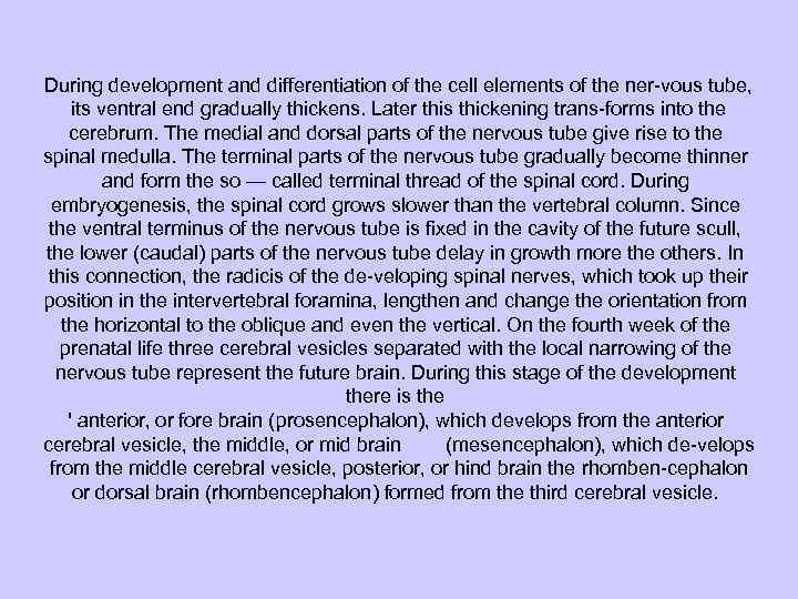 During development and differentiation of the cell elements of the ner vous tube, its