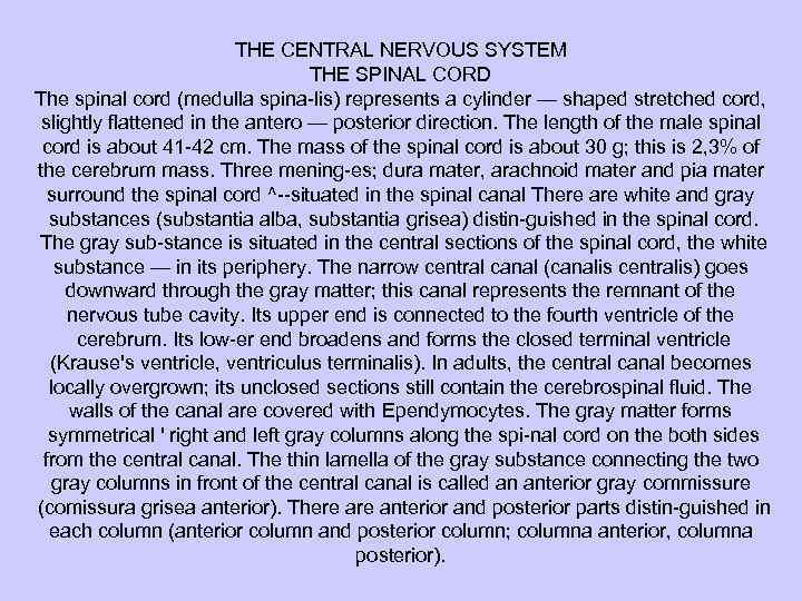 THE CENTRAL NERVOUS SYSTEM THE SPINAL CORD The spinal cord (medulla spina lis) represents