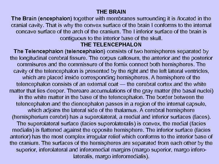 THE BRAIN The Brain (encephalon) together with membranes surrounding it is /located in the