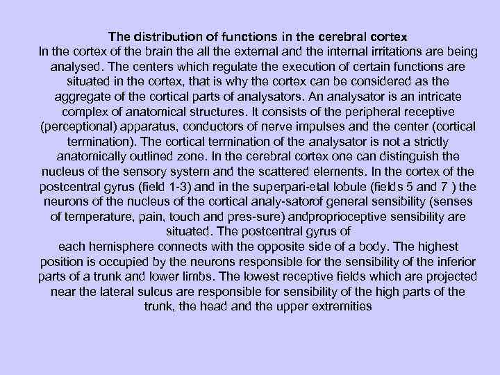 The distribution of functions in the cerebral cortex In the cortex of the brain