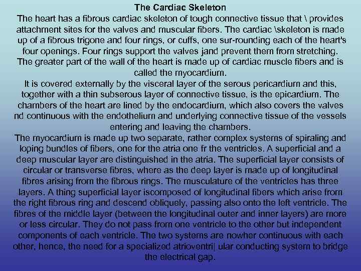 The Cardiac Skeleton The heart has a fibrous cardiac skeleton of tough connective tissue