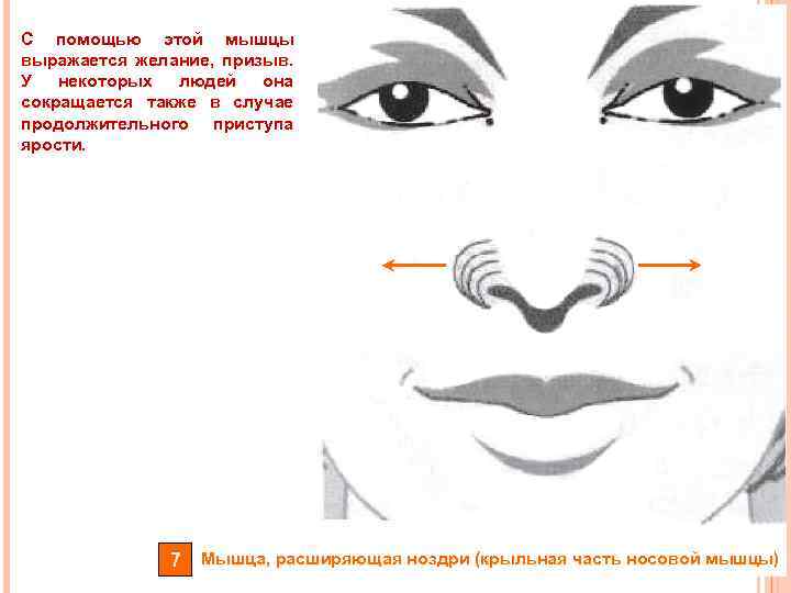 С помощью этой мышцы выражается желание, призыв. У некоторых людей она сокращается также в