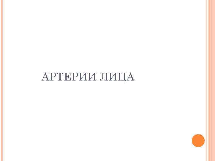 АРТЕРИИ ЛИЦА 