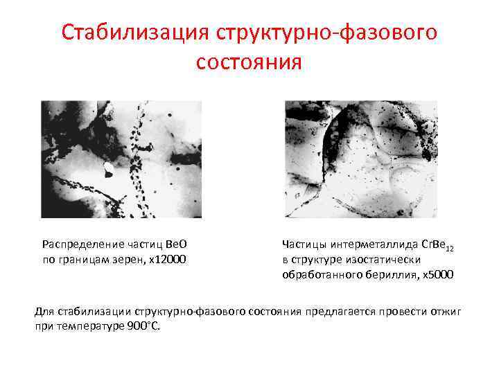 Стабилизация структурно-фазового состояния Распределение частиц Ве. О по границам зерен, х12000 Частицы интерметаллида Cr.