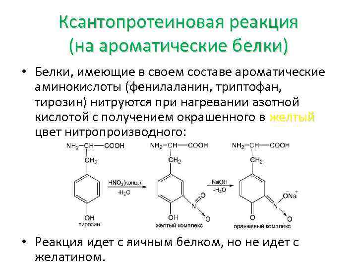 Ксантопротеиновая реакция схема реакции