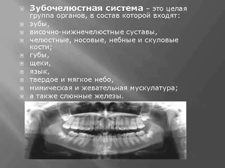  Зубочелюстная система – это целая группа органов, в состав которой входят: зубы, височно-нижнечелюстные