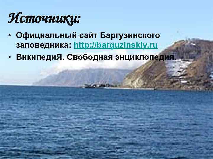 Флора Источники: • Официальный сайт Баргузинского заповедника: http: //barguzinskiy. ru • Википеди. Я. Свободная