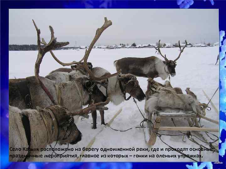 Село Казым расположено на берегу одноименной реки, где и проходят основные праздничные мероприятия, главное