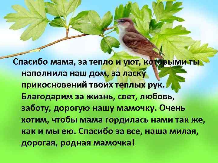 Спасибо мама, за тепло и уют, которыми ты наполнила наш дом, за ласку прикосновений