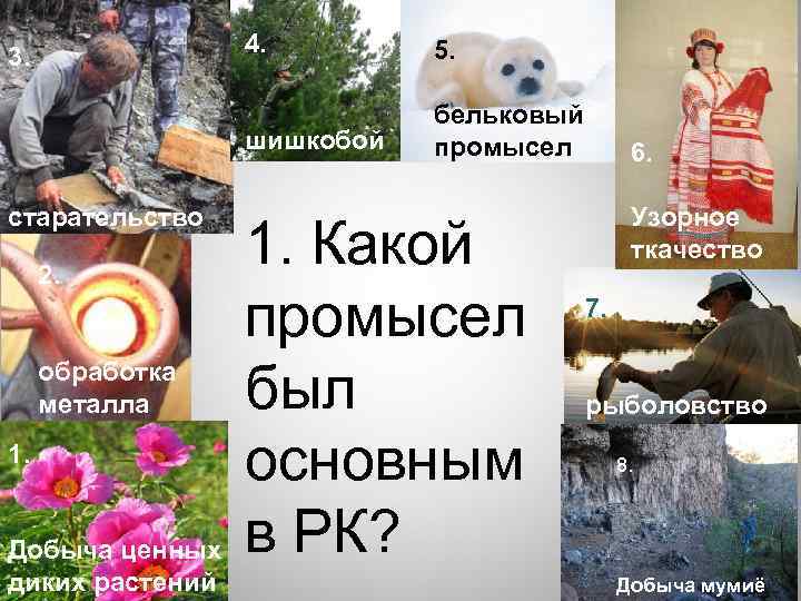 4. старательство 2. обработка металла 1. Добыча ценных диких растений 5. шишкобой 3. бельковый