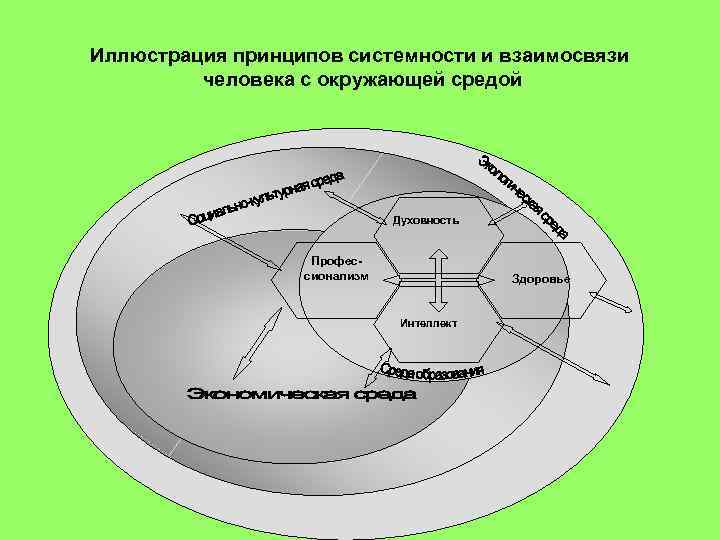 Принцип системности это