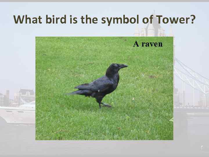 What bird is the symbol of Tower? A raven 