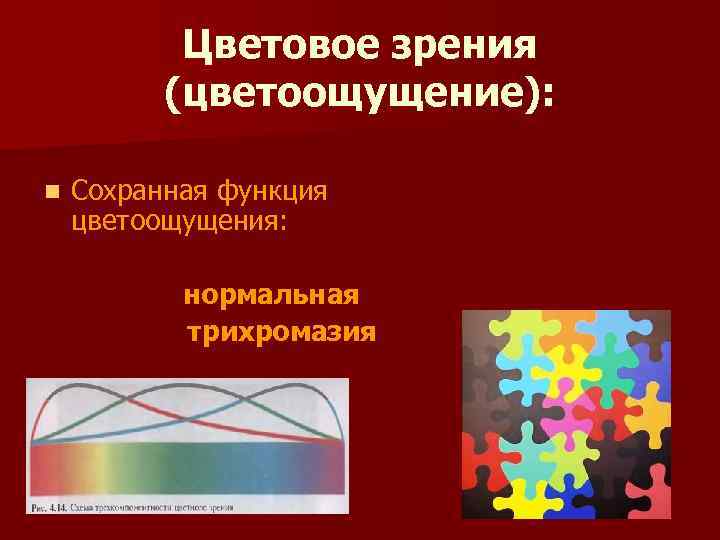 Цветовое зрения (цветоощущение): n Сохранная функция цветоощущения: нормальная трихромазия 