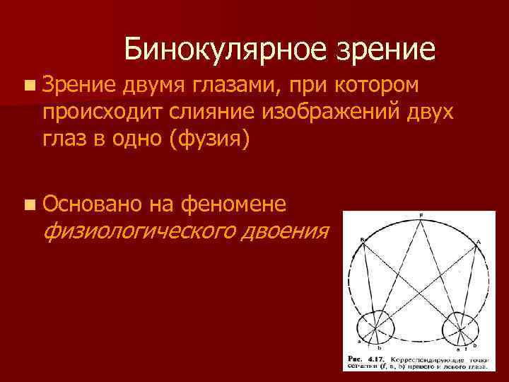 Бинокулярное зрение это способность одновременно видеть двумя