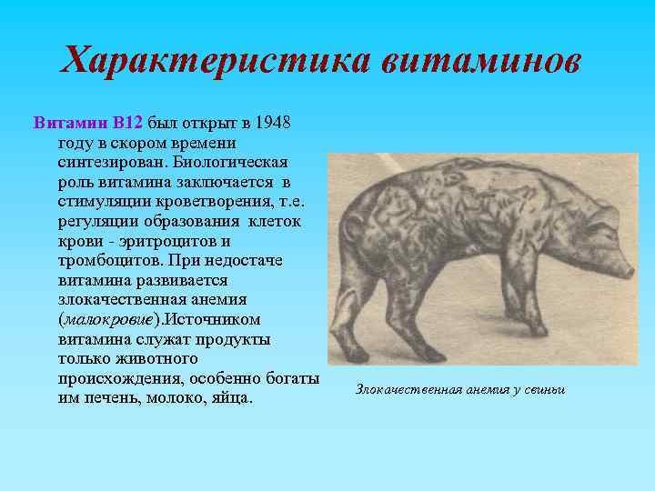 Характеристика витаминов Витамин В 12 был открыт в 1948 году в скором времени синтезирован.