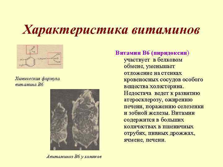 Характеристика витаминов Химическая формула витамина В 6 Авитаминоз В 6 у хомяков Витамин В