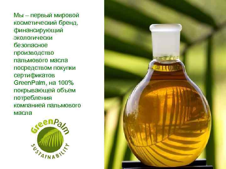 Мы – первый мировой косметический бренд, финансирующий экологически безопасное производство пальмового масла посредством покупки