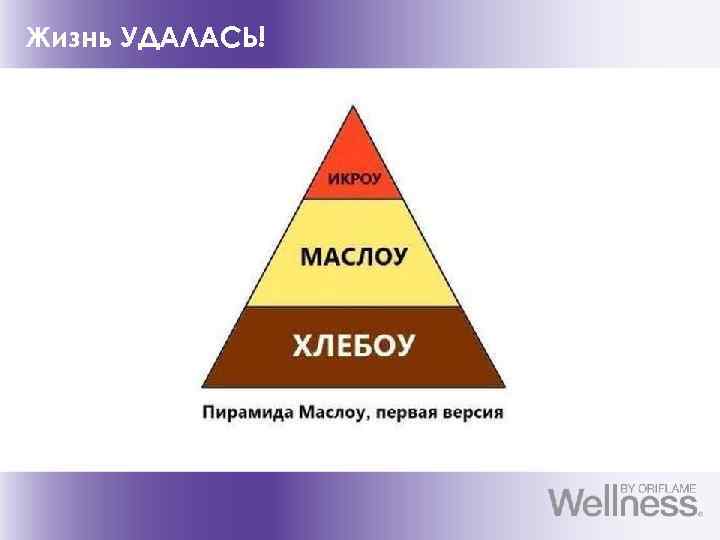 Жизнь УДАЛАСЬ! 