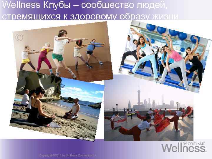 Wellness Клубы – сообщество людей, стремящихся к здоровому образу жизни Copyright © 2011 by