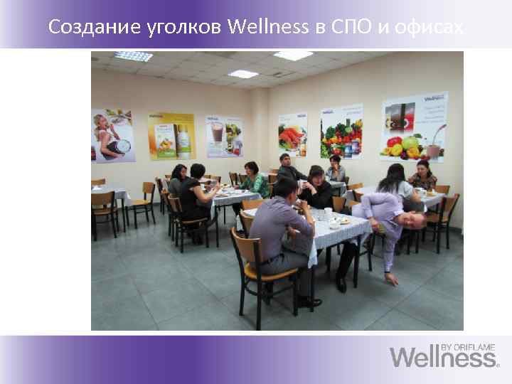 Создание уголков Wellness в СПО и офисах 