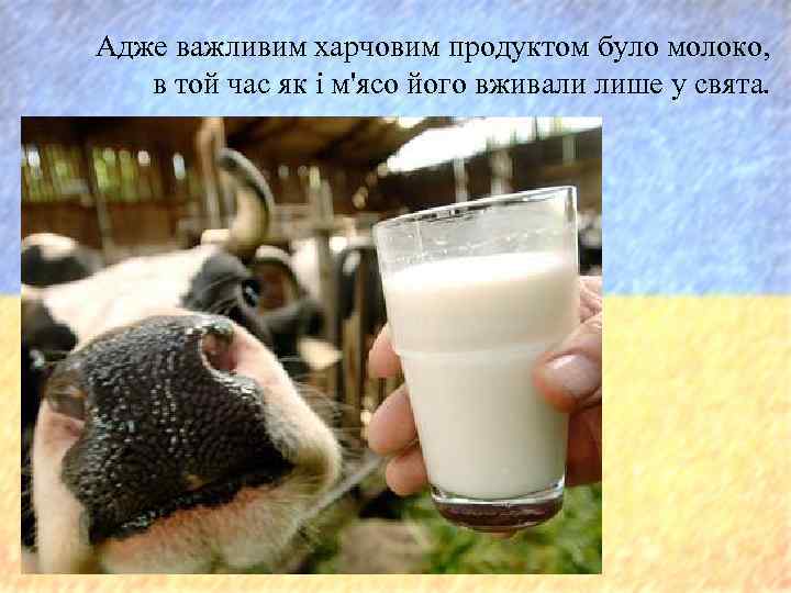 Адже важливим харчовим продуктом було молоко, в той час як і м'ясо його вживали