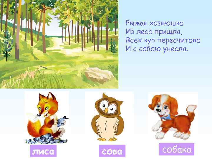 Рыжая хозяюшка Из леса пришла, Всех кур пересчитала И с собою унесла. лиса сова