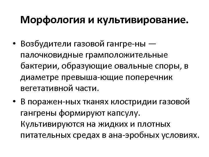 Морфология и культивирование. • Возбудители газовой гангре ны — палочковидные грамположительные бактерии, образующие овальные