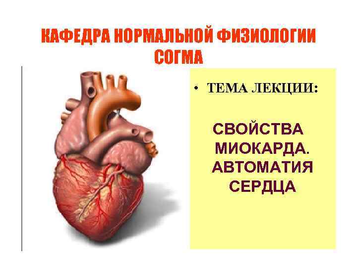 КАФЕДРА НОРМАЛЬНОЙ ФИЗИОЛОГИИ СОГМА • ТЕМА ЛЕКЦИИ: СВОЙСТВА МИОКАРДА. АВТОМАТИЯ СЕРДЦА 
