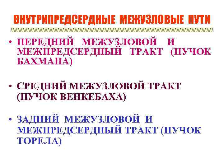ВНУТРИПРЕДСЕРДНЫЕ МЕЖУЗЛОВЫЕ ПУТИ • ПЕРЕДНИЙ МЕЖУЗЛОВОЙ И МЕЖПРЕДСЕРДНЫЙ ТРАКТ (ПУЧОК БАХМАНА) • СРЕДНИЙ МЕЖУЗЛОВОЙ