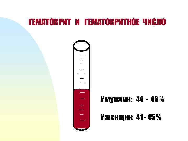 Гематокритное число крови. Гематокритное число. Гематокритное число физиология. Повышение гематокритной величины.