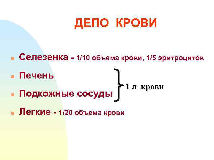 ДЕПО КРОВИ n Селезенка - 1/10 объема крови, 1/5 эритроцитов n Печень n Подкожные