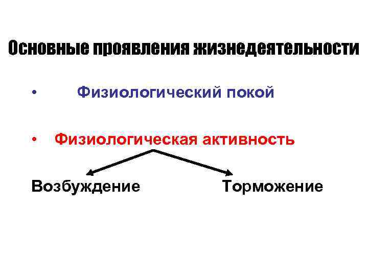 Основные проявления жизнедеятельности • Физиологический покой • Физиологическая активность Возбуждение Торможение 