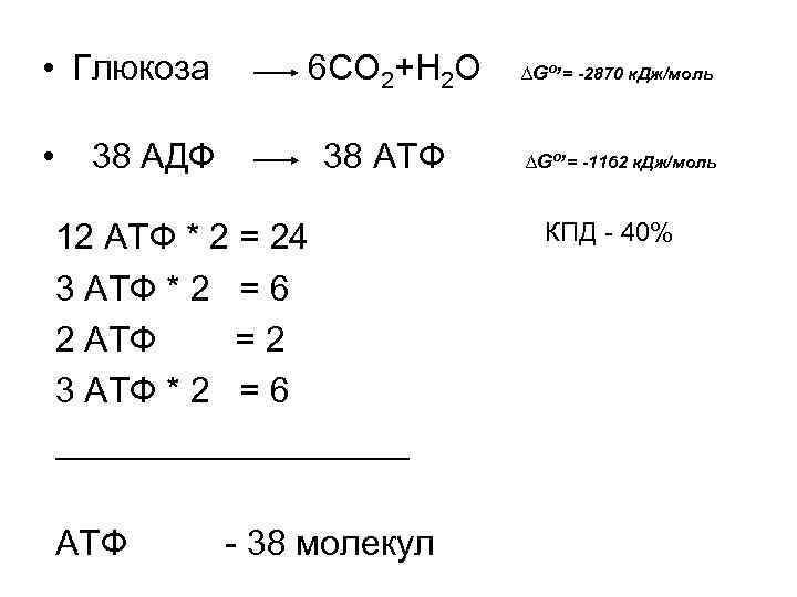  • Глюкоза 6 СО 2+Н 2 О ∆Go, = -2870 к. Дж/моль •