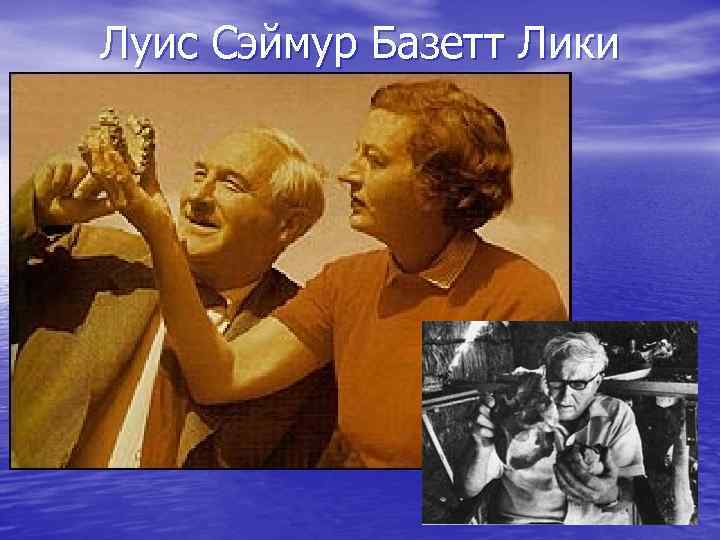 Луис Сэймур Базетт Лики 