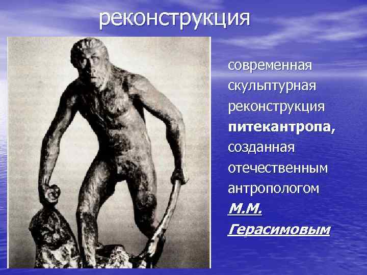 реконструкция современная скульптурная реконструкция питекантропа, созданная отечественным антропологом М. М. Герасимовым 