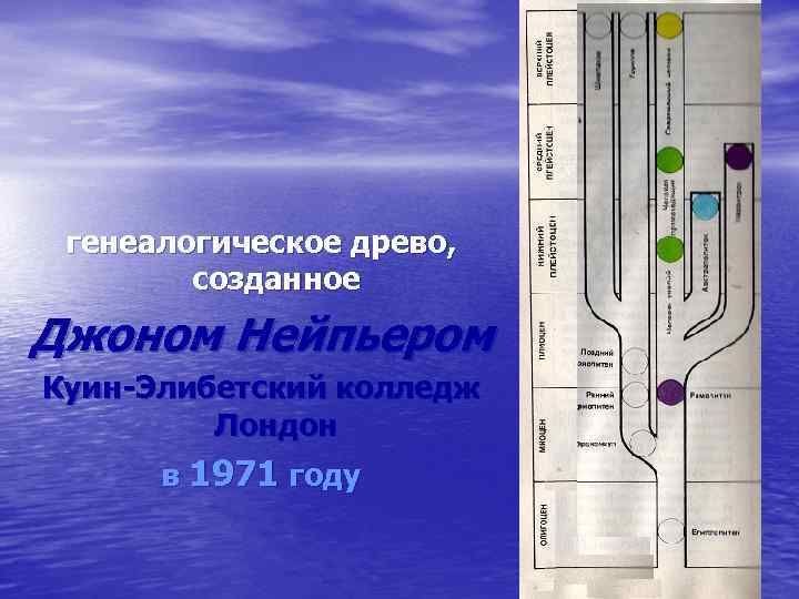 генеалогическое древо, созданное Джоном Нейпьером Куин-Элибетский колледж Лондон в 1971 году 
