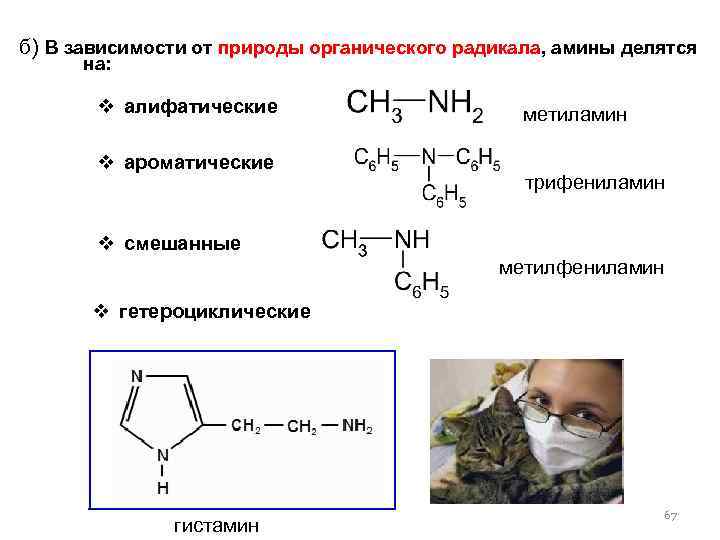 б) В зависимости от природы органического радикала, амины делятся на: v алифатические v ароматические