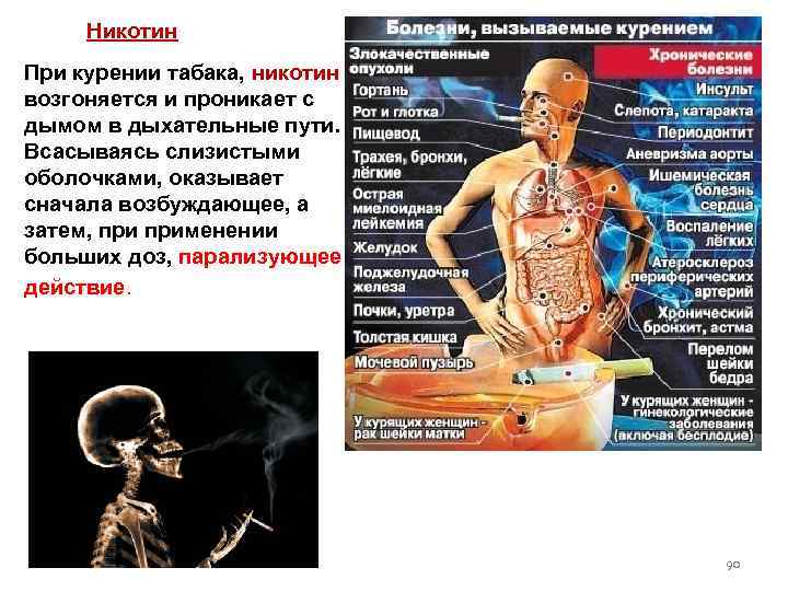 Никотин При курении табака, никотин возгоняется и проникает с дымом в дыхательные пути. Всасываясь