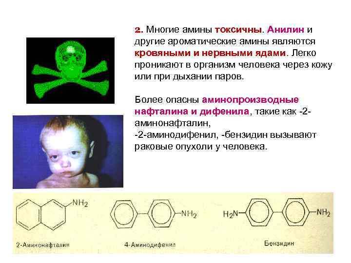 2. Многие амины токсичны. Анилин и другие ароматические амины являются кровяными и нервными ядами.