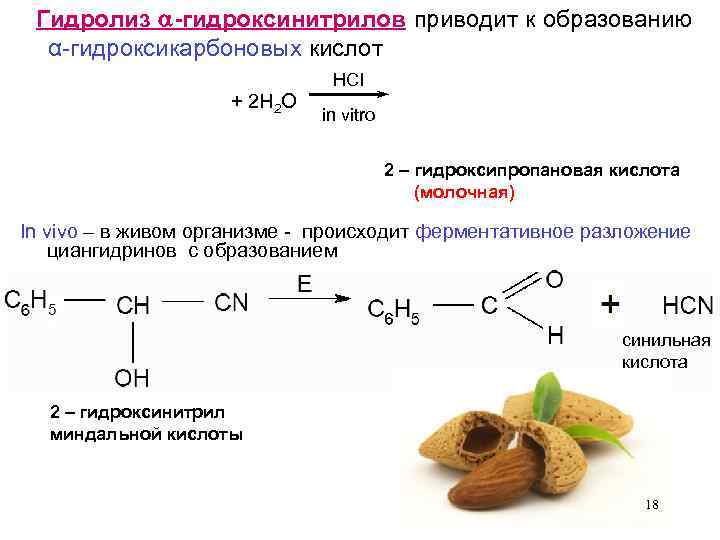 Реакция in vivo. Гидроксинитрил кислотный гидролиз. Окисление гидроксинитрилов. S-2-гидроксипропановая кислота. Гидроксинитрил+nh3.