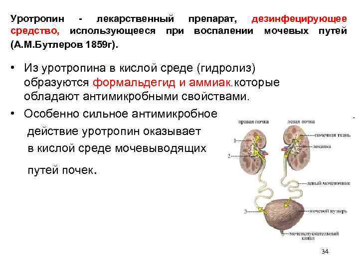 Уротропин - лекарственный препарат, дезинфецирующее средство, использующееся при воспалении мочевых путей (А. М. Бутлеров